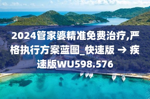 2024管家婆精准免费治疗,严格执行方案蓝图_快速版 → 疾速版WU598.576