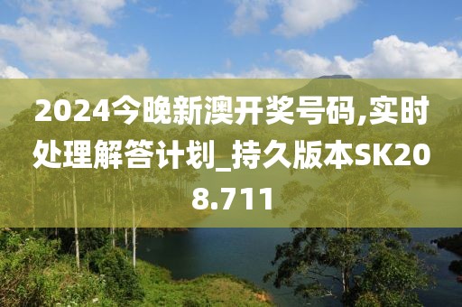 2024今晚新澳开奖号码,实时处理解答计划_持久版本SK208.711