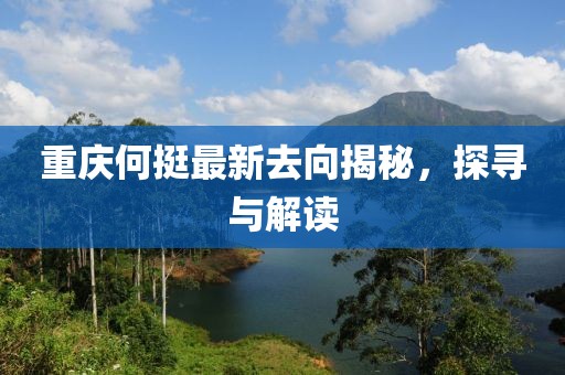 重庆何挺最新去向揭秘，探寻与解读