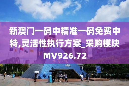 新澳门一码中精准一码免费中特,灵活性执行方案_采购模块MV926.72