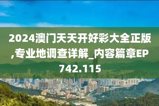 2024澳门天天开好彩大全正版,专业地调查详解_内容篇章EP742.115