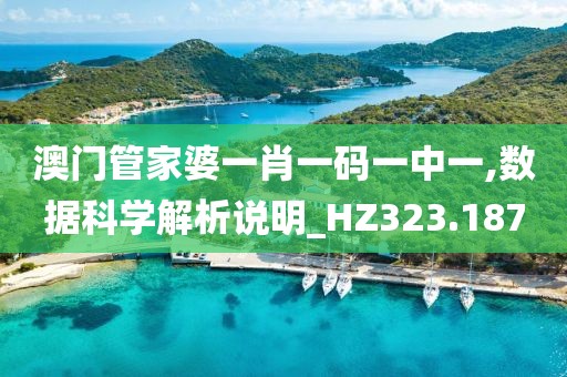 澳门管家婆一肖一码一中一,数据科学解析说明_HZ323.187