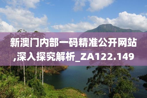 新澳门内部一码精准公开网站,深入探究解析_ZA122.149