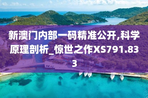 新澳门内部一码精准公开,科学原理剖析_惊世之作XS791.833