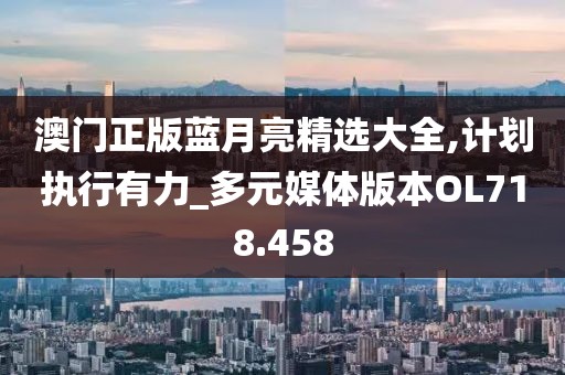澳门正版蓝月亮精选大全,计划执行有力_多元媒体版本OL718.458