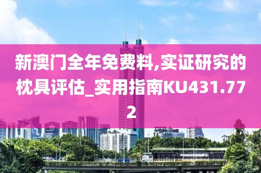 新澳门全年免费料,实证研究的枕具评估_实用指南KU431.772