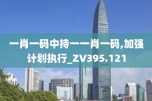 一肖一码中持一一肖一码,加强计划执行_ZV395.121