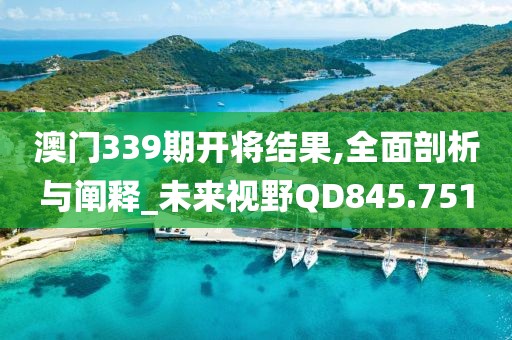 澳门339期开将结果,全面剖析与阐释_未来视野QD845.751