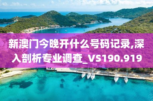 新澳门今晚开什么号码记录,深入剖析专业调查_VS190.919