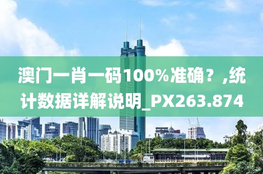 澳门一肖一码100%准确？,统计数据详解说明_PX263.874