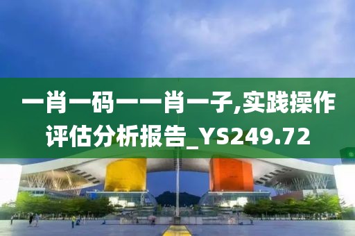 一肖一码一一肖一子,实践操作评估分析报告_YS249.72