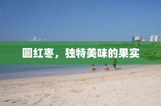 沧桑为饮 第63页