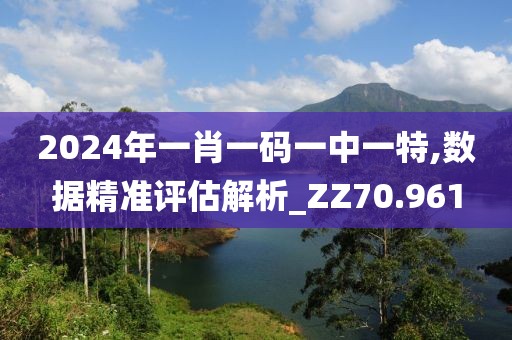 2024年一肖一码一中一特,数据精准评估解析_ZZ70.961