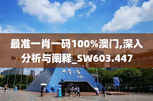最准一肖一码100%澳门,深入分析与阐释_SW603.447