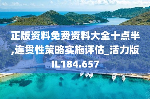 正版资料免费资料大全十点半,连贯性策略实施评估_活力版IL184.657