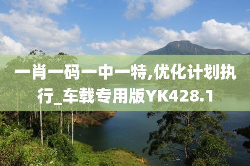 一肖一码一中一特,优化计划执行_车载专用版YK428.1