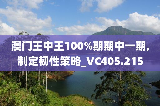 澳门王中王100%期期中一期,制定韧性策略_VC405.215