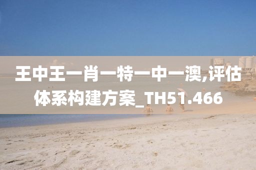王中王一肖一特一中一澳,评估体系构建方案_TH51.466