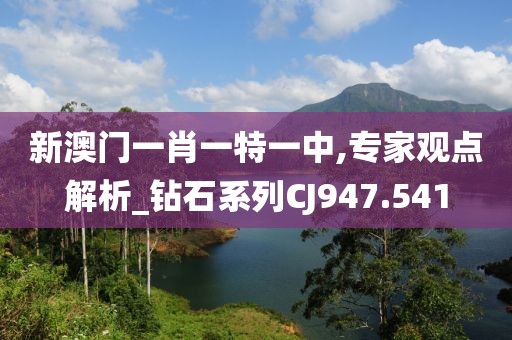 新澳门一肖一特一中,专家观点解析_钻石系列CJ947.541