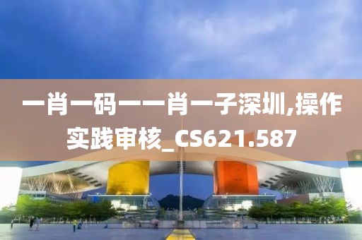 一肖一码一一肖一子深圳,操作实践审核_CS621.587