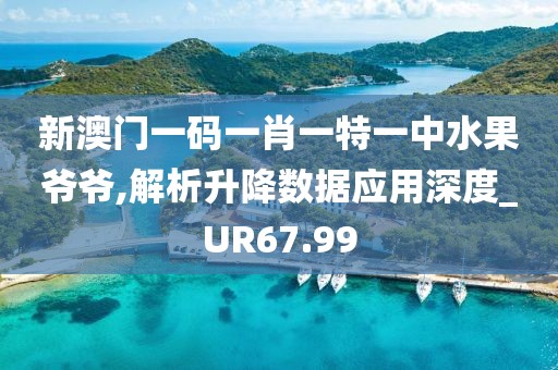 新澳门一码一肖一特一中水果爷爷,解析升降数据应用深度_UR67.99