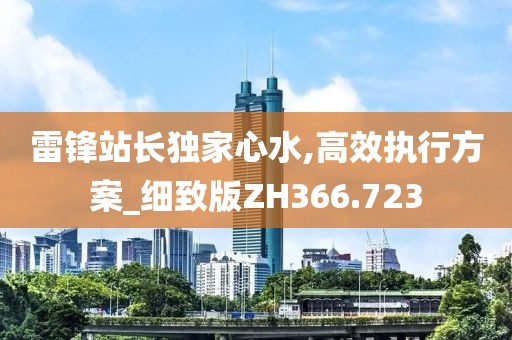 雷锋站长独家心水,高效执行方案_细致版ZH366.723