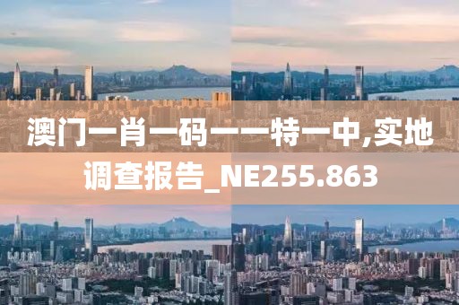 澳门一肖一码一一特一中,实地调查报告_NE255.863