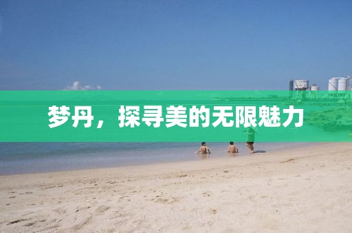 梦丹，探寻美的无限魅力