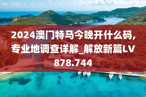 2024澳门特马今晚开什么码,专业地调查详解_解放新篇LV878.744
