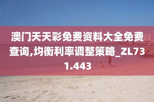 澳门天天彩免费资料大全免费查询,均衡利率调整策略_ZL731.443