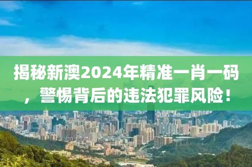 揭秘新澳2024年精准一肖一码，警惕背后的违法犯罪风险！