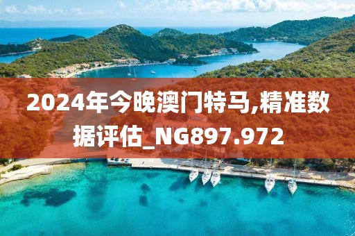 2024年今晚澳门特马,精准数据评估_NG897.972