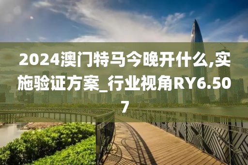 2024澳门特马今晚开什么,实施验证方案_行业视角RY6.507