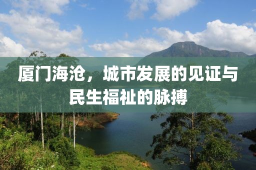 厦门海沧，城市发展的见证与民生福祉的脉搏