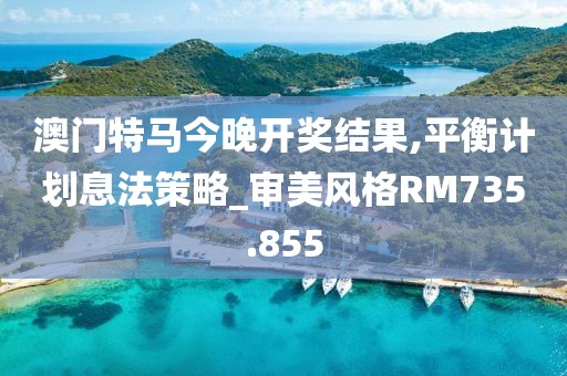 澳门特马今晚开奖结果,平衡计划息法策略_审美风格RM735.855