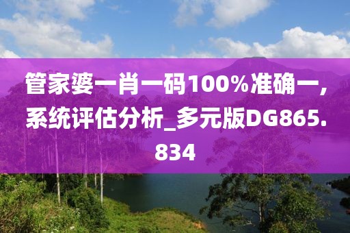 管家婆一肖一码100%准确一,系统评估分析_多元版DG865.834