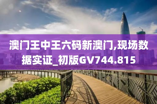 澳门王中王六码新澳门,现场数据实证_初版GV744.815