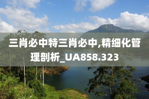 三肖必中特三肖必中,精细化管理剖析_UA858.323