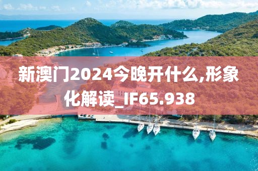 新澳门2024今晚开什么,形象化解读_IF65.938