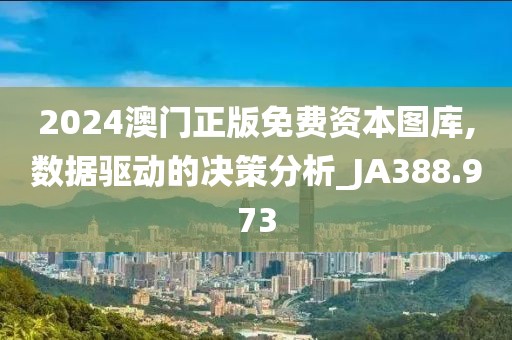 2024澳门正版免费资本图库,数据驱动的决策分析_JA388.973