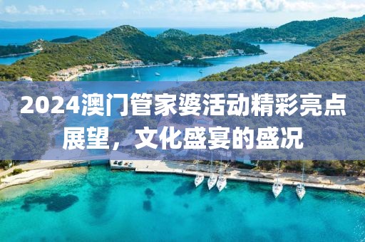 2024澳门管家婆活动精彩亮点展望，文化盛宴的盛况