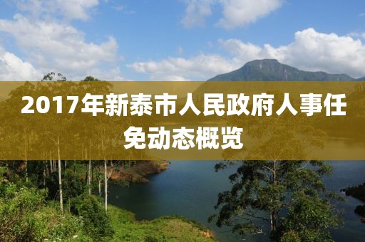 2017年新泰市人民政府人事任免动态概览
