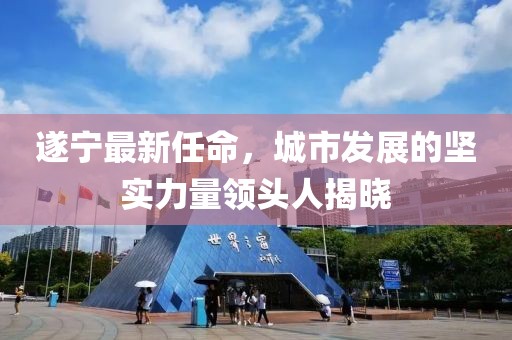 遂宁最新任命，城市发展的坚实力量领头人揭晓