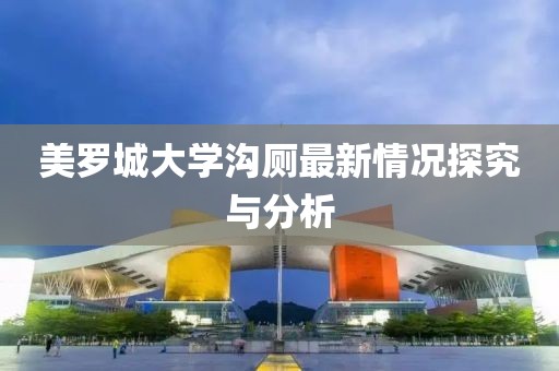 美罗城大学沟厕最新情况探究与分析
