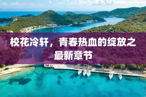 校花冷轩，青春热血的绽放之最新章节