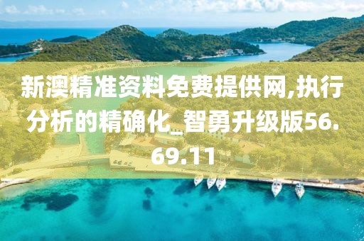 新澳精准资料免费提供网,执行分析的精确化_智勇升级版56.69.11