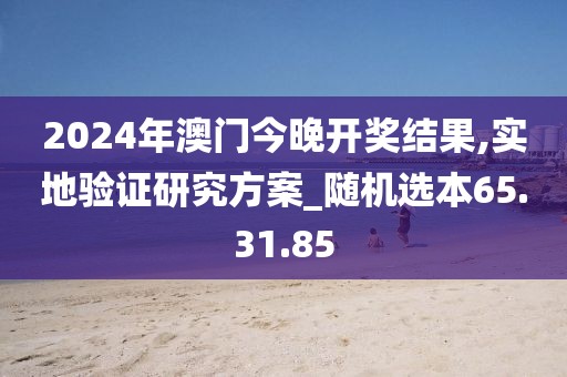 2024年澳门今晚开奖结果,实地验证研究方案_随机选本65.31.85