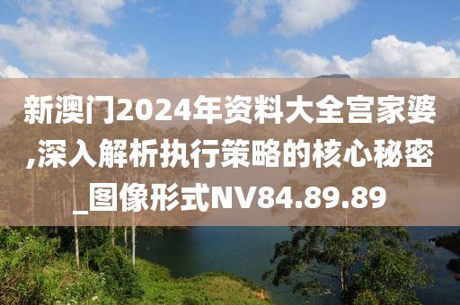 新澳门2024年资料大全宫家婆,深入解析执行策略的核心秘密_图像形式NV84.89.89