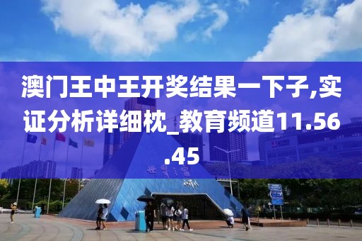 澳门王中王开奖结果一下子,实证分析详细枕_教育频道11.56.45
