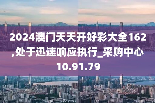 2024澳门天天开好彩大全162,处于迅速响应执行_采购中心10.91.79